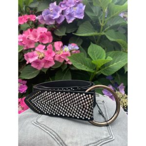Elvy studs belt zilver/zwart